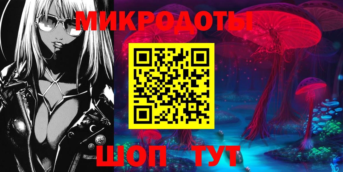 Псилоцибиновые грибы Cubensis Луга
